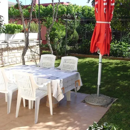 Lino 1